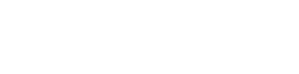 Feadora Professional Lash System